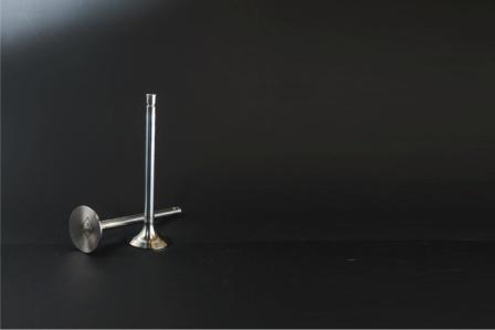 АО «ЧАМЗ» возобновляет поставки клапанов Минского моторного завода (ОАО «УКХ «ММЗ»)