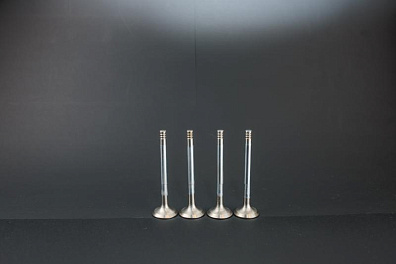 Клапан выпускной 2108.1007012-01-Ч "ГАЗОВЫЙ"